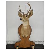 Mounted Deer Buck Taxidermy Gun Rack