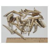 Lot of Deer Antlers See Sizes
