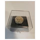 Desert Rose Gypsum Specimen