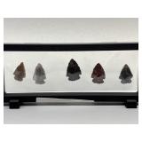 Arrowhead Specimens