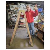 6 FT Werner  DBL Side Step Ladder
