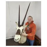 Trophy African Gemsbok Taxidermy Shoulder Mount