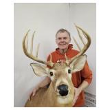 10 Pt  Whitetail Deer LG Antlers Shoulder Mount