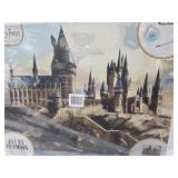 16"x20" NEW Paint by Numbers Harry Potter