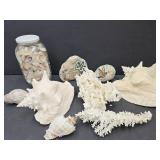 Coral & Seashell Collection Inspiration Rocks