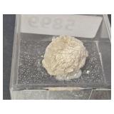 Desert Rose Gypsum Specimen