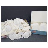 Sand Dollar Collection