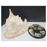 Large Conch Seashell From HAWAII & Trivet