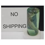 REAL Shark in Glass Jar 7.5" NO SHIP