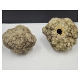 2 Geodes see pix