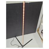 Selfie  Floor Light with  Cord