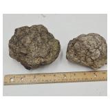 2 Geode Rocks SEE SIZES