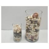 Seashells w Glass Display Jars 7 & 12"High