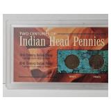 Indian Head Pennies in Display 2 Coins