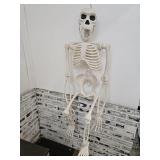 Full Size Plastic Skeleton Halloween Decor