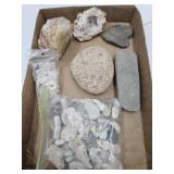 Geodes & Fossils Lot See Size