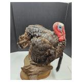 Large Mounted  Turkey Taxidermy