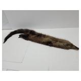 Mink Taxidermy 46" Long