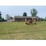 LEXINGTON ONLINE AUCTION - ESTATE OF FRANCIS SPRINGER
