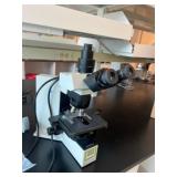 Olympus Fluorescence Microscope