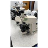 Zeiss Axioplan Microscope