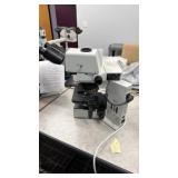 Olympus BX40F4 Microscope