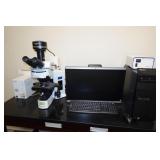 Olympus Fluorescence Microscope W- Objectives