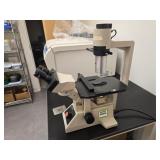 Olympus Microscope