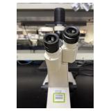 Carl Zeiss Axiovert 25 Microscope (Inverted)