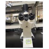 Carl Zeiss Axiovert 25 Microscope (Inverted)