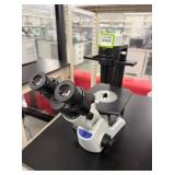 Olympus CKX53SF Inverted Microscope