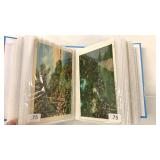 FLOWER/FLOWER GARDEN POST CARDS