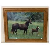 HORSE PICTURE 22x18