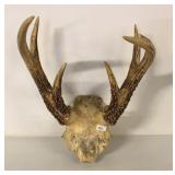 ANTLERS