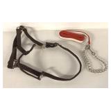 HALTER AND LEAD ROPE