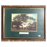 MARES AND FOALS PICTURE 17x13