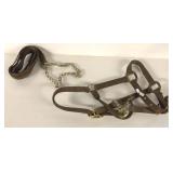 HALTER AND LEAD ROPE