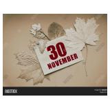 Next Auction = Sunday - November 30th = 3 PM