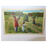 Vintage Black Americana Post Card