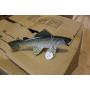 Carl Christiansen Coho