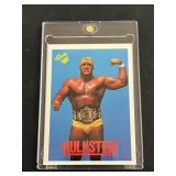 Hulk Hogan Classic WWF