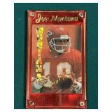 Joe Montana Stadium Sports