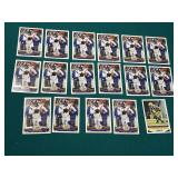 Greg Jennings Viking 17 Card Lot