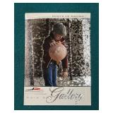 2004 Press Pass Gallery Dale Earnhardt Jr