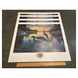 Derk Hansen 'Dawns Early Light' Loon Prints Lot of