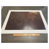 John Seerey-Lester 'Forest Glow' Signed Numbered L