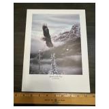 Rick Kelley 'Spirits of the Free' Bald Eagle Print