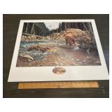 Derk Hansen 'A Wild Life' Grizzly Bear Conservatio