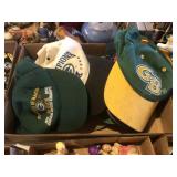 Packers Hats