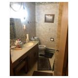 Contents of Bathroom - Cleaners, Pictures, Etc